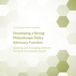 Developing Policy Advocacy ORS Report Cover