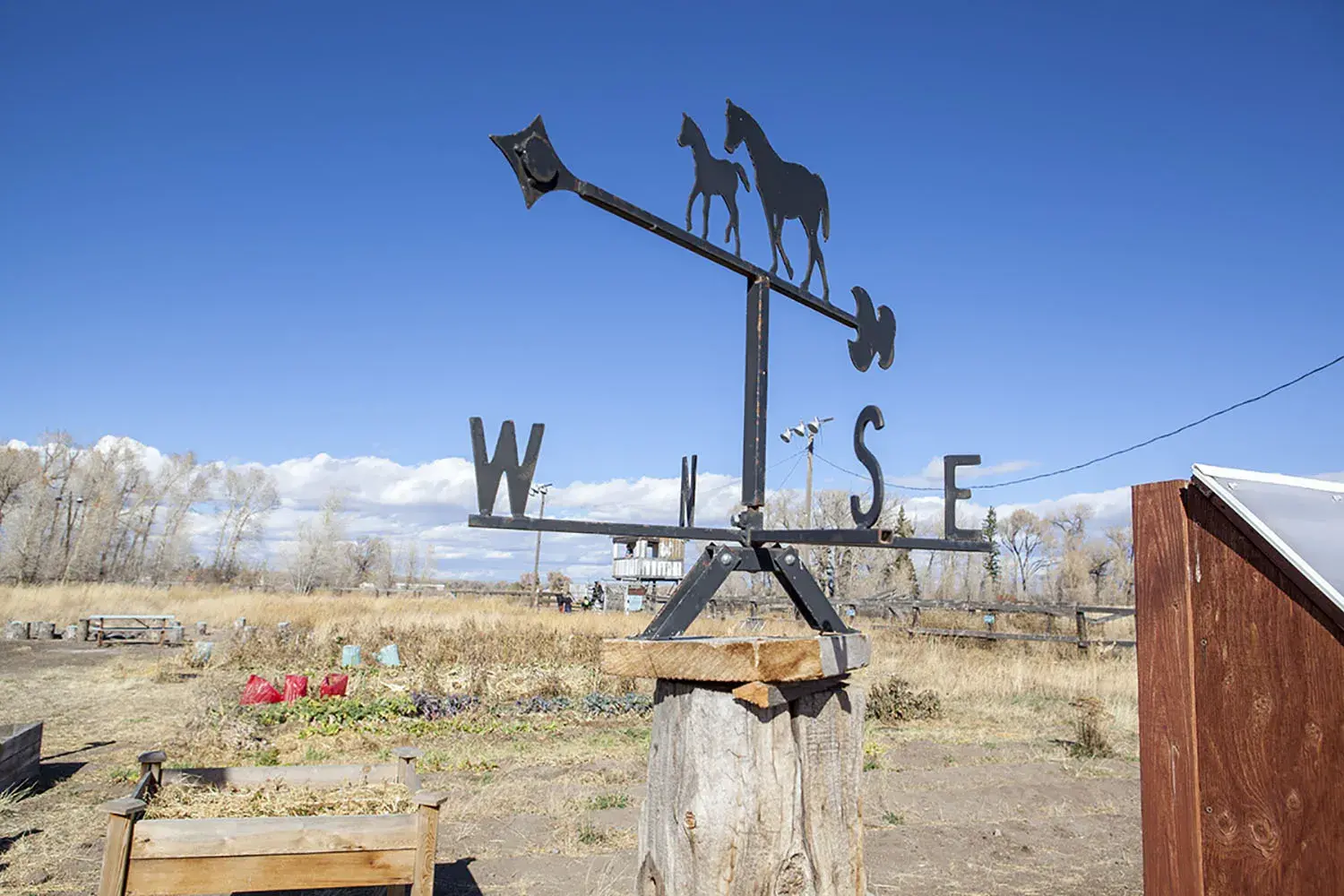 Weather Vane in Antonito