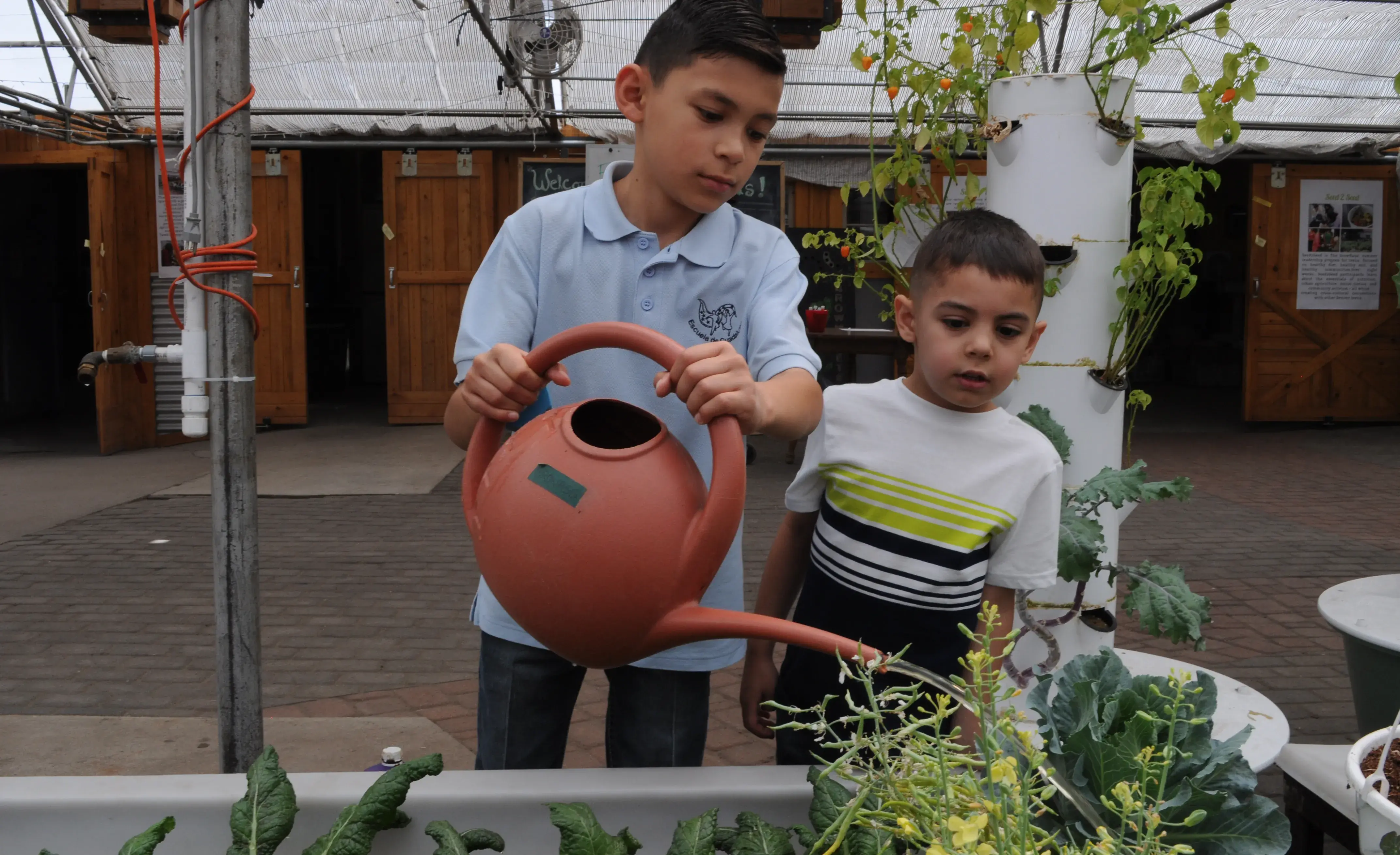 Boys Watering Plants at Growhaus
