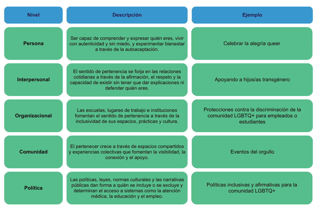 levels of belonging SPANISH