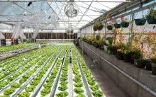 The Growhaus Cultivates Education and Food Access for Overlooked Neighborhood