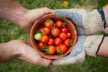 Get to Know the Good Food Collective