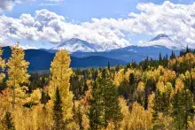 The Colorado Health Foundation Recognizes Six Leaders through Nonprofit Sabbatical Program